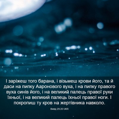 Picture 03 - Вихід 29:20 UKR - І заріжеш того барана, і - Bible Verse Picture