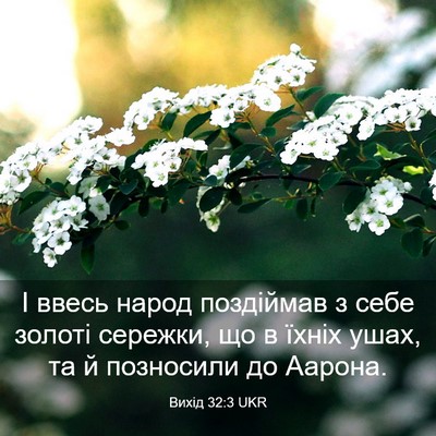 Picture 03 - Вихід 32:3 UKR - І ввесь народ поздіймав з - Bible Verse Picture