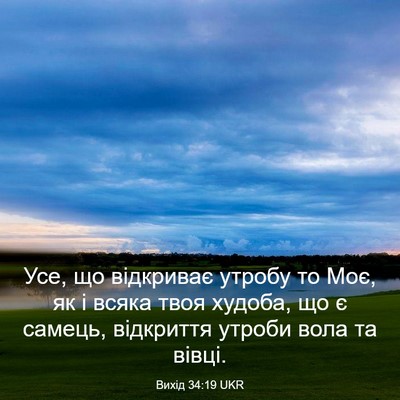 Picture 03 - Вихід 34:19 UKR - Усе, що відкриває утробу то - Bible Verse Picture