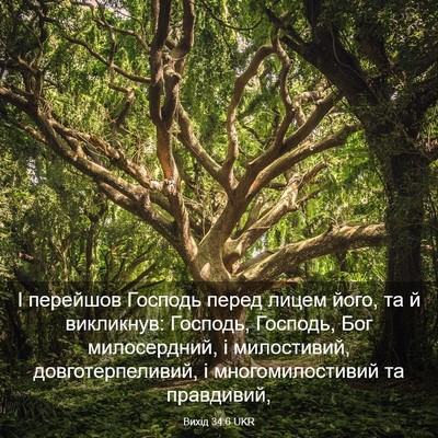 Picture 03 - Вихід 34:6 UKR - І перейшов Господь перед - Bible Verse Picture