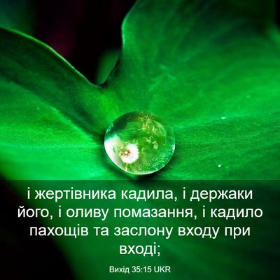 Picture 03 - Вихід 35:15 UKR - і жертівника кадила, і - Bible Verse Picture