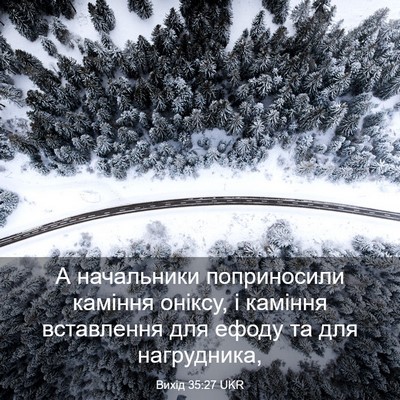 Picture 03 - Вихід 35:27 UKR - А начальники поприносили - Bible Verse Picture