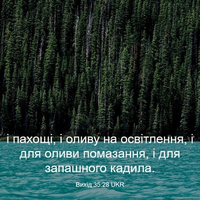 Picture 03 - Вихід 35:28 UKR - і пахощі, і оливу на - Bible Verse Picture