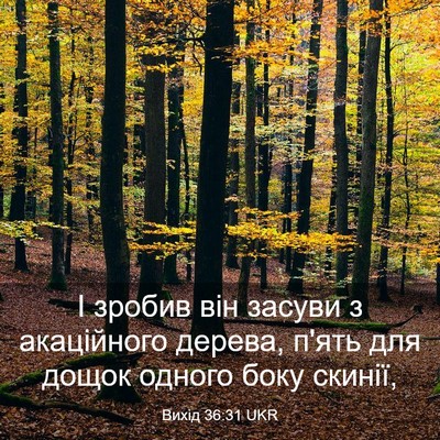 Picture 03 - Вихід 36:31 UKR - І зробив він засуви з - Bible Verse Picture