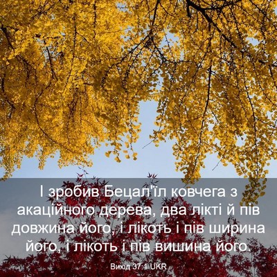 Picture 03 - Вихід 37:1 UKR - І зробив Бецал'їл ковчега з - Bible Verse Picture