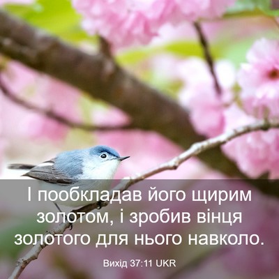 Picture 03 - Вихід 37:11 UKR - І пообкладав його щирим - Bible Verse Picture