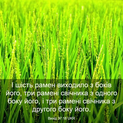 Picture 03 - Вихід 37:18 UKR - І шість рамен виходило з - Bible Verse Picture