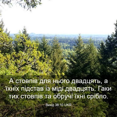Picture 03 - Вихід 38:10 UKR - А стовпів для нього - Bible Verse Picture