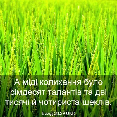 Picture 03 - Вихід 38:29 UKR - А міді колихання було - Bible Verse Picture