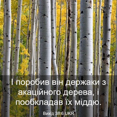 Picture 03 - Вихід 38:6 UKR - І поробив він держаки з - Bible Verse Picture