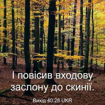 Picture 03 - Вихід 40:28 UKR - І повісив входову заслону - Bible Verse Picture