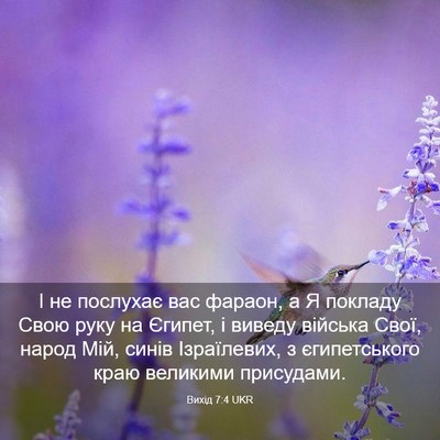 Picture 03 - Вихід 7:4 UKR - І не послухає вас фараон, а - Bible Verse Picture