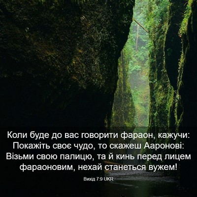 Picture 03 - Вихід 7:9 UKR - Коли буде до вас говорити - Bible Verse Picture