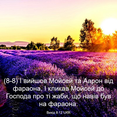 Picture 03 - Вихід 8:12 UKR - (8-8) І вийшов Мойсей та - Bible Verse Picture