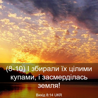 Picture 03 - Вихід 8:14 UKR - (8-10) І збирали їх цілими - Bible Verse Picture