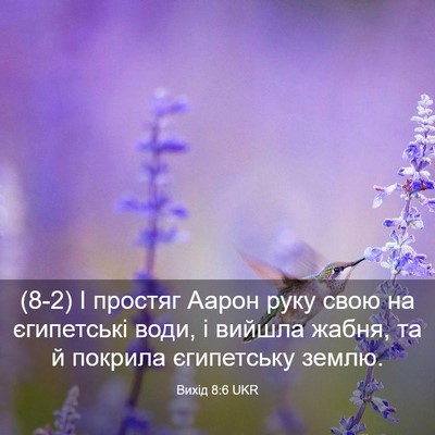 Picture 03 - Вихід 8:6 UKR - (8-2) І простяг Аарон руку - Bible Verse Picture