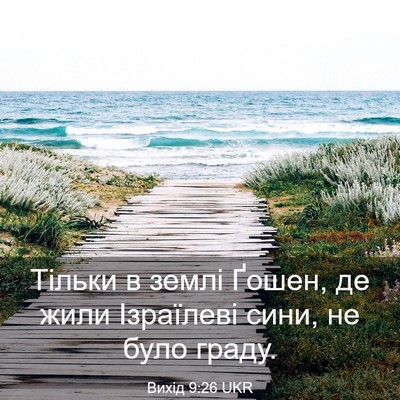 Picture 03 - Вихід 9:26 UKR - Тільки в землі Ґошен, де - Bible Verse Picture