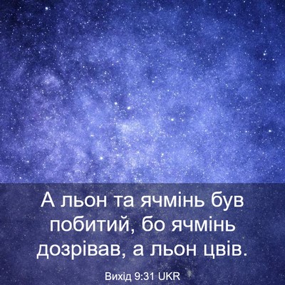 Picture 03 - Вихід 9:31 UKR - А льон та ячмінь був - Bible Verse Picture