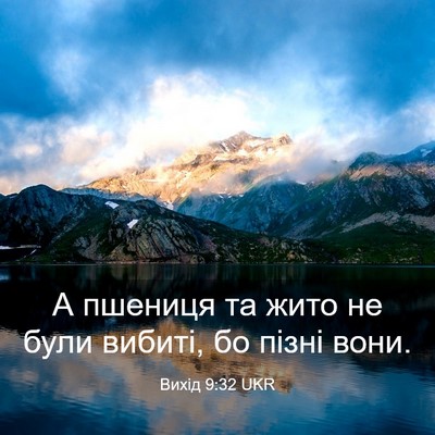 Picture 03 - Вихід 9:32 UKR - А пшениця та жито не були - Bible Verse Picture