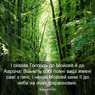 Picture 03 - Вихід 9:8 UKR - І сказав Господь до Мойсея - Bible Verse Picture