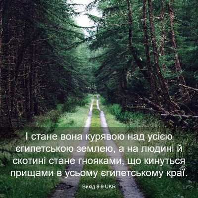 Picture 03 - Вихід 9:9 UKR - І стане вона курявою над - Bible Verse Picture
