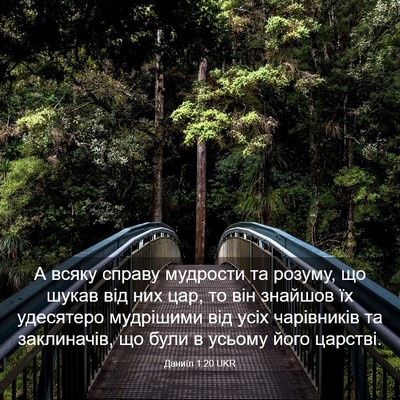 Picture 03 - Даниїл 1:20 UKR - А всяку справу мудрости та - Bible Verse Picture