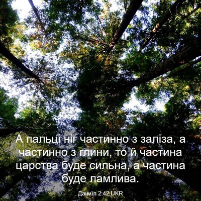 Picture 03 - Даниїл 2:42 UKR - А пальці ніг частинно з - Bible Verse Picture
