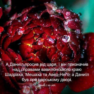 Picture 03 - Даниїл 2:49 UKR - А Даниїл просив від царя, і - Bible Verse Picture