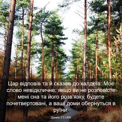Picture 03 - Даниїл 2:5 UKR - Цар відповів та й сказав до - Bible Verse Picture