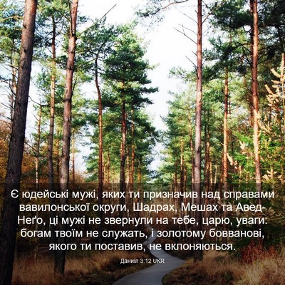 Picture 03 - Даниїл 3:12 UKR - Є юдейські мужі, яких ти - Bible Verse Picture
