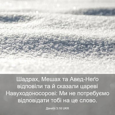 Picture 03 - Даниїл 3:16 UKR - Шадрах, Мешах та Авед-Неґо - Bible Verse Picture
