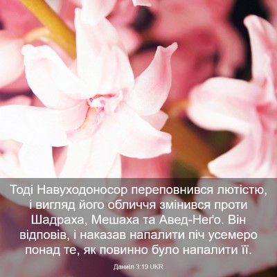Picture 03 - Даниїл 3:19 UKR - Тоді Навуходоносор - Bible Verse Picture