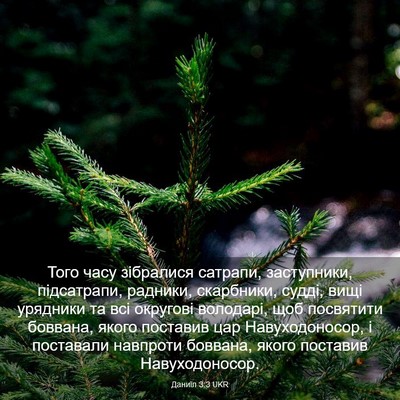 Picture 03 - Даниїл 3:3 UKR - Того часу зібралися - Bible Verse Picture