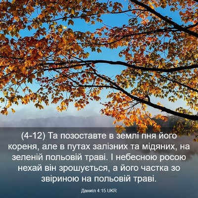 Picture 03 - Даниїл 4:15 UKR - (4-12) Та позоставте в землі - Bible Verse Picture