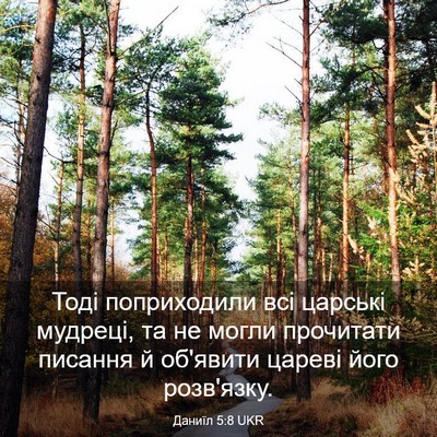 Picture 03 - Даниїл 5:8 UKR - Тоді поприходили всі - Bible Verse Picture