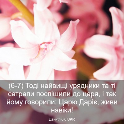 Picture 03 - Даниїл 6:6 UKR - (6-7) Тоді найвищі урядники - Bible Verse Picture