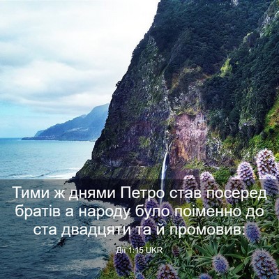 Picture 03 - Дії 1:15 UKR - Тими ж днями Петро став - Bible Verse Picture