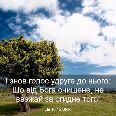 Picture 03 - Дії 10:15 UKR - І знов голос удруге до - Bible Verse Picture