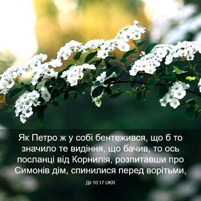 Picture 03 - Дії 10:17 UKR - Як Петро ж у собі - Bible Verse Picture