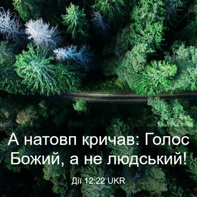 Picture 03 - Дії 12:22 UKR - А натовп кричав: Голос - Bible Verse Picture