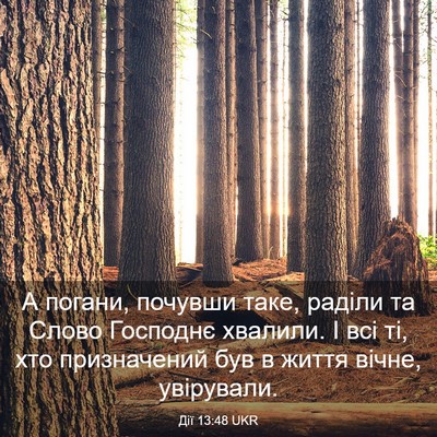 Picture 03 - Дії 13:48 UKR - А погани, почувши таке, - Bible Verse Picture
