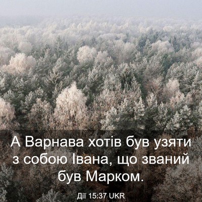 Picture 03 - Дії 15:37 UKR - А Варнава хотів був узяти з - Bible Verse Picture