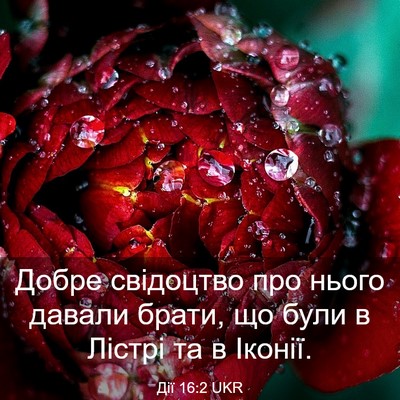 Picture 03 - Дії 16:2 UKR - Добре свідоцтво про нього - Bible Verse Picture