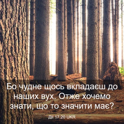 Picture 03 - Дії 17:20 UKR - Бо чудне щось вкладаєш до - Bible Verse Picture