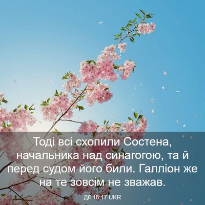 Picture 03 - Дії 18:17 UKR - Тоді всі схопили Состена, - Bible Verse Picture