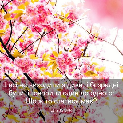 Picture 03 - Дії 2:12 UKR - І всі не виходили з дива, і - Bible Verse Picture