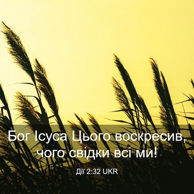 Picture 03 - Дії 2:32 UKR - Бог Ісуса Цього воскресив, - Bible Verse Picture