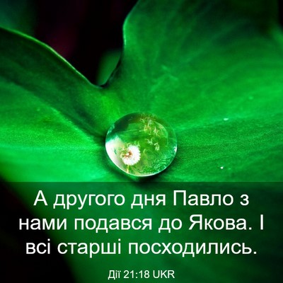 Picture 03 - Дії 21:18 UKR - А другого дня Павло з нами - Bible Verse Picture