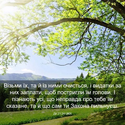 Picture 03 - Дії 21:24 UKR - Візьми їх, та й із ними - Bible Verse Picture