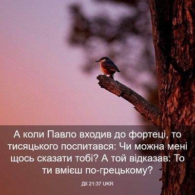 Picture 03 - Дії 21:37 UKR - А коли Павло входив до - Bible Verse Picture